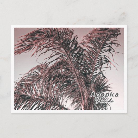 APOPKA FLORIDA BRIEFKAART (Voorkant)