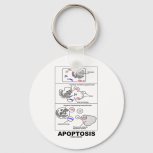 Apoptosis (biologie celdood) sleutelhanger