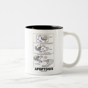 Apoptosis (biologie celdood) tweekleurige koffiemok
