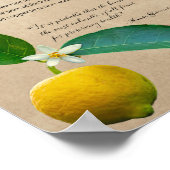Apothécaire de plantes : Citron | Poster botanique (Coin)