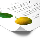 Apothécaire de plantes : Citron | Poster sur papie (Coin)