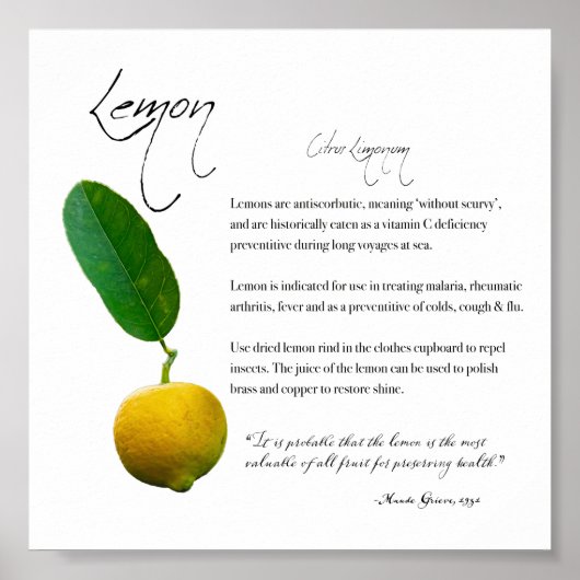 Apothécaire de plantes : Citron | Poster sur papie (Devant)