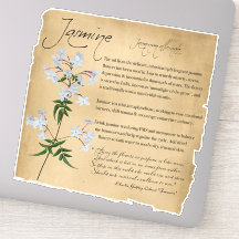 Apothécaire de plantes : Jasmine | Autocollant bot