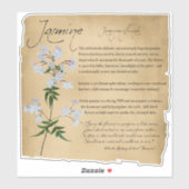 Apothécaire de plantes : Jasmine | Autocollant bot (Feuille)