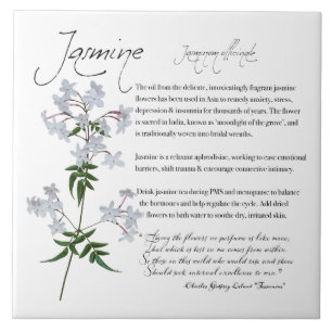 Apothécaire de plantes : Jasmine   Carreaux de cér