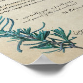 Apothécaire de plantes : Lavande | Poster botaniqu (Coin)