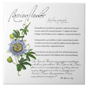 Apothécaire de plantes : Passionfleur Carreaux e