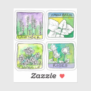 Apothecary Herbal Tea Jar Labels Kamille Roos