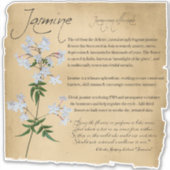 Apothecary, kruidengeneesmiddel: Jasmine | Botanis Sticker (Voorkant)