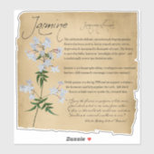 Apothecary, kruidengeneesmiddel: Jasmine | Botanis Sticker (Vel)