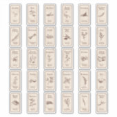 Apothecary Spice Labels (Voorkant)