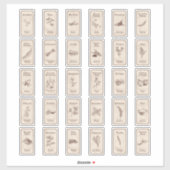  Apothecary Spice Labels (Vel)