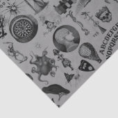 Apothecary Tissuepapier (Detail)