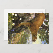 Appalachian Animals Briefkaart (Voorkant / Achterkant)