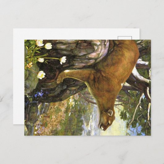 Appalachian Animals Briefkaart (Voorkant / Achterkant)