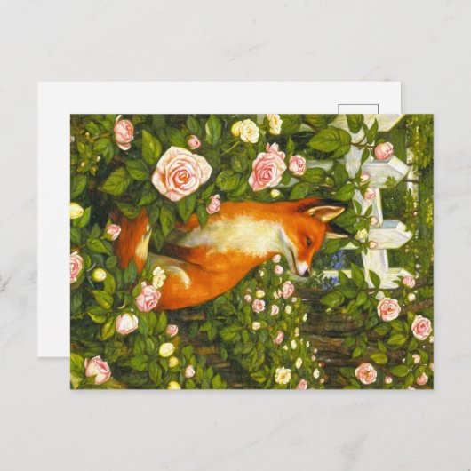 Appalachian Animals  Briefkaart (Voorkant / Achterkant)