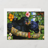 Appalachian Animals  Briefkaart (Voorkant / Achterkant)