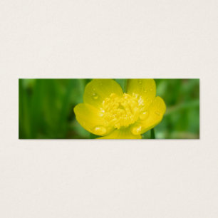 Appalachian Buttercup Bladwijzer Mini Visitekaartjes