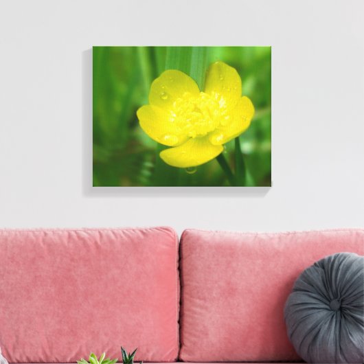 Appalachian Buttercup Canvas Afdrukken (Insitu (Woonkamer))
