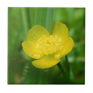 Appalachian Buttercup Decoratief Tile Tegeltje