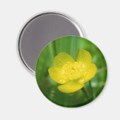 Appalachian Buttercup Magnet Magneet (Voorkant / Achterkant)