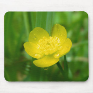 Appalachian Buttercup Mousepad Muismat