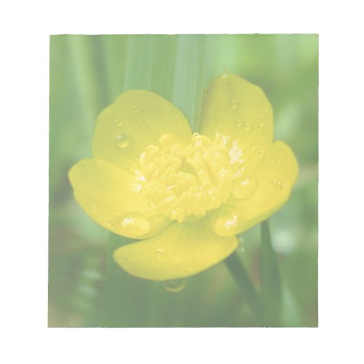 Appalachian Buttercup Notitieblok (Voorkant)