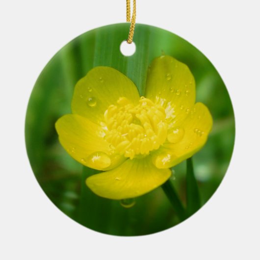 Appalachian Buttercup Ornament (Voorkant)