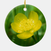 Appalachian Buttercup Ornament (Achterkant)