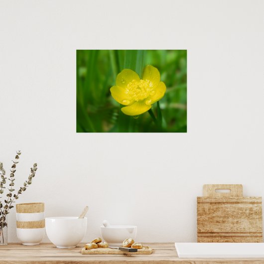 Appalachian Buttercup Print (Keuken)