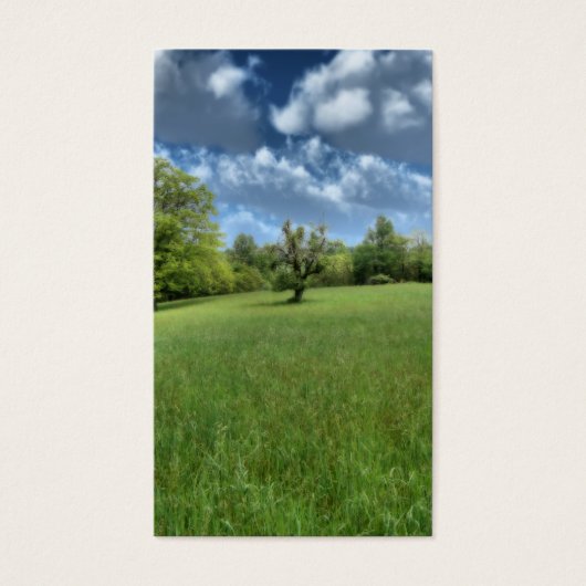 Appalachian Green Bladwijzer Visitekaartje (Voorkant)