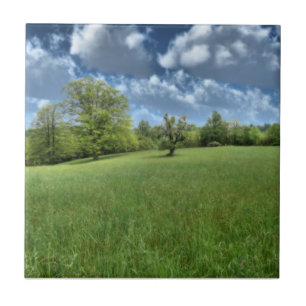Appalachian Green Decorative Tile Tegeltje