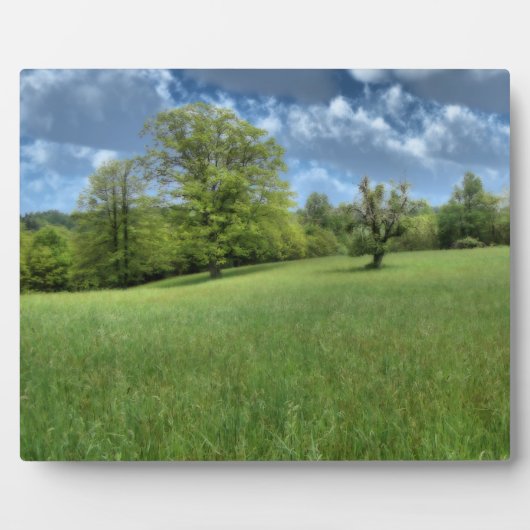 Appalachian Green Photo Plaque Fotoplaat (Voorkant)