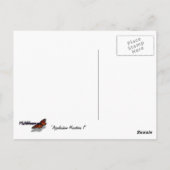 Appalachian Mountains I Shenandoah Briefkaart (Achterkant)