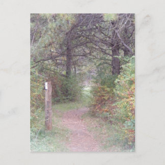 appalachian sleepherfst Pennsylvania Briefkaart