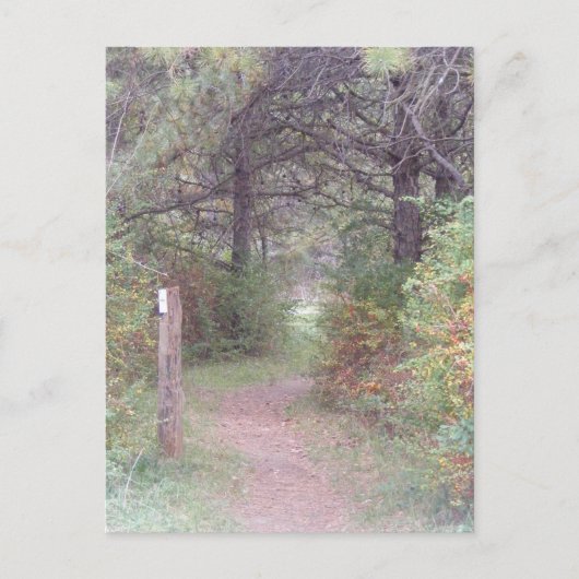 appalachian sleepherfst Pennsylvania Briefkaart (Voorkant)