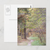 appalachian sleepherfst Pennsylvania Briefkaart (Voorkant / Achterkant)