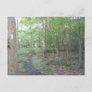 appalachian sleepPennsylvania zuidenberg Briefkaart
