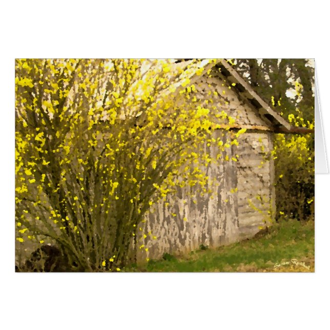 Appalachian Spring (Voorkant Horizontaal)