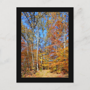 Appalachian Trail Autumn, Fall Scenery Postcard Briefkaart