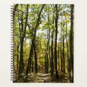 Appalachian Trail in October at Shenandoah (Devant)