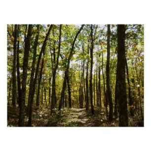 Appalachian Trail in oktober bij Shenandoah Perfect Poster