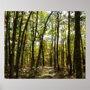 Appalachian Trail in oktober bij Shenandoah Poster