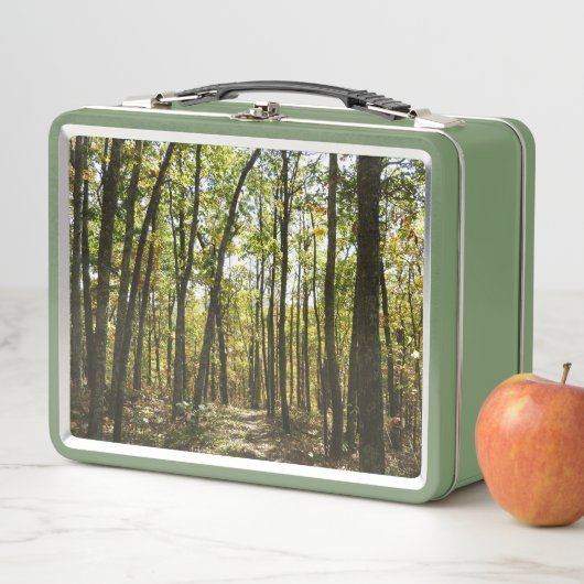 Appalachian Trail in oktober in Shenandoah (In situ)