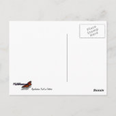 Appalachian Trail in oktober in Shenandoah Briefkaart (Achterkant)