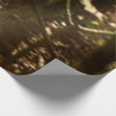 Appalachian Trail in oktober in Shenandoah Houten Poster (Hoek)