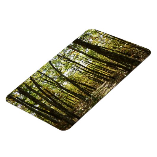 Appalachian Trail in oktober in Shenandoah Magneet (Linkerzijde)