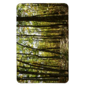 Appalachian Trail in oktober in Shenandoah Magneet (Verticaal)