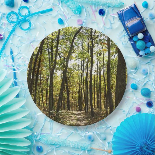 Appalachian Trail in oktober in Shenandoah Papieren Bordje (Feest)