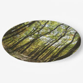 Appalachian Trail in oktober in Shenandoah Papieren Bordje (Gekanteld)